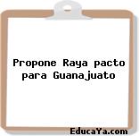 Propone Raya pacto para Guanajuato