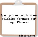 Qué opinan del bloque político formado por Hugo Chavez?