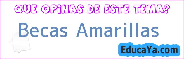 Becas Amarillas