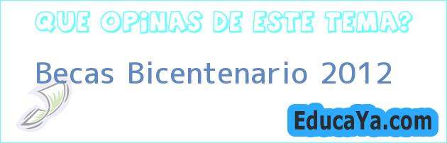 Becas Bicentenario 2012