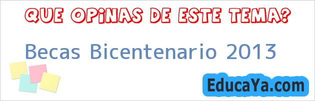 Becas Bicentenario 2013