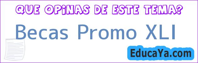 Becas Promo XLI