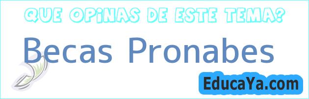 Becas Pronabes