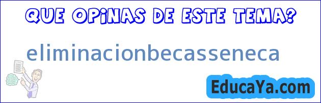 eliminacionbecasseneca