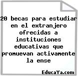 20 becas para estudiar en el extranjero ofrecidas a instituciones educativas que promuevan activamente la ense