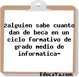 ¿alguien sabe cuanto dan de beca en un ciclo formativo de grado medio de informatica?