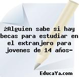 ¿Alguien sabe si hay becas para estudiar en el extranjero para jovenes de 14 años?