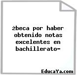 ¿beca por haber obtenido notas excelentes en bachillerato?