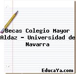 Becas Colegio Mayor Aldaz – Universidad de Navarra