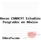 Becas CONACYT Estudios Posgrados en México