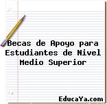 Becas de Apoyo para Estudiantes de Nivel Medio Superior