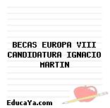 BECAS EUROPA VIII CANDIDATURA IGNACIO MARTIN