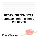 BECAS EUROPA VIII CANDIDATURA MANUEL VALDIVIA