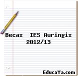 Becas  IES Auringis 2012/13