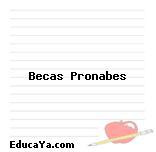 Becas Pronabes