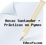 Becas Santander – Prácticas en Pymes