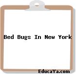 Bed Bugs In New York