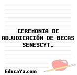 CEREMONIA DE ADJUDICACIÓN DE BECAS SENESCYT.