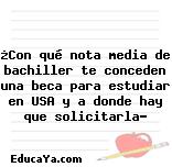 ¿Con qué nota media de bachiller te conceden una beca para estudiar en USA y a donde hay que solicitarla?