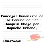 Concejal Humanista de la Comuna de San Joaquín Aboga por Mapuche Urbano.