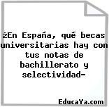 ¿En España, qué becas universitarias hay con tus notas de bachillerato y selectividad?