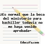 ¿Es normal que la beca del ministerio para bachiller todavia no me haya venido aprobada?