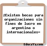 ¿Existen becas para organizaciones sin fines de lucro en argentina o internacionales?