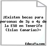 ¿Existen becas para personas de 3º o 4º de la ESO en Tenerife (Islas Canarias)?