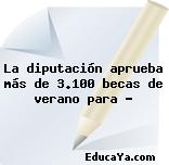 La diputación aprueba más de 3.100 becas de verano para …