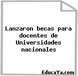 Lanzaron becas para docentes de Universidades nacionales