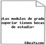 ¿Los modulos de grado superior tienen becas de estudio?