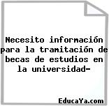 Necesito información para la tramitación de becas de estudios en la universidad?