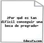 ¿Por qué es tan dificil conseguir una beca de pregrado?