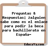 Preguntas & Respuestas: ¿alguien sabe como es el enlace para pedir la beca para bachillerato en España?