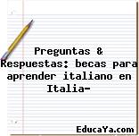 Preguntas & Respuestas: becas para aprender italiano en Italia?