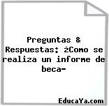 Preguntas & Respuestas: ¿Como se realiza un informe de beca?