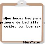 ¿Qué becas hay para primero de bachiller y cuáles son buenas?