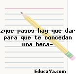 ¿que pasos hay que dar para que te concedan una beca?