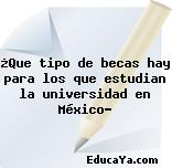 ¿Que tipo de becas hay para los que estudian la universidad en México?