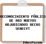 RECONOCIMIENTO PÚBLICO DE 803 NUEVOS ADJUDICADOS BECAS SENECYT