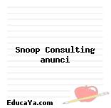 Snoop Consulting anunci