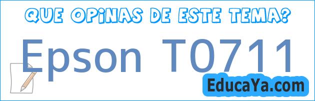 Epson T0711