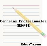 Carreras Profesionales SENATI