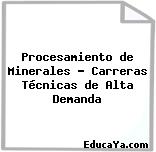 Procesamiento de Minerales – Carreras Técnicas de Alta Demanda