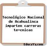 Tecnológico Nacional de Acahualinca imparten carreras técnicas