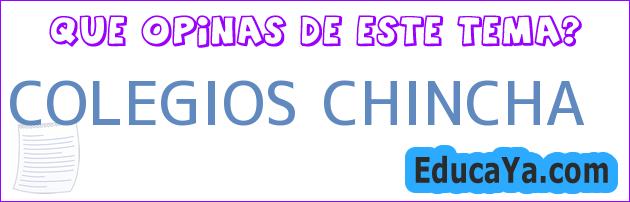 COLEGIOS CHINCHA