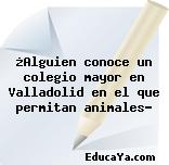 ¿Alguien conoce un colegio mayor en Valladolid en el que permitan animales?