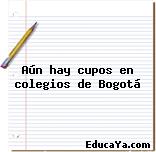 Aún hay cupos en colegios de Bogotá