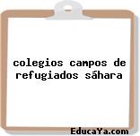 colegios campos de refugiados sáhara