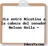 ¿Le entro Nicotina a la cabeza del senador Nelson Avila ?